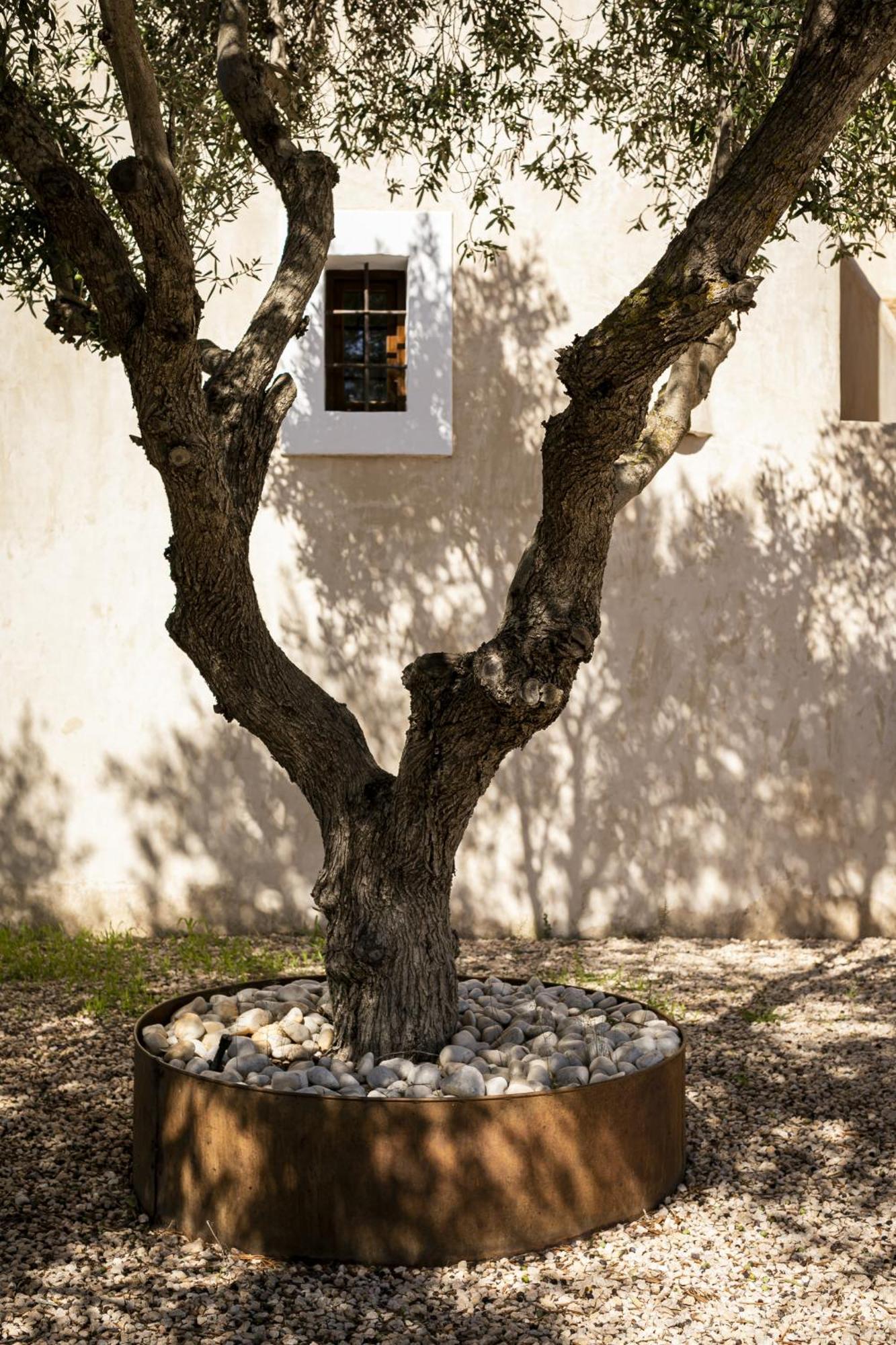 Can Noves - Villa De 4 Suites 35 Y 52 San Francisco Javier Exterior foto